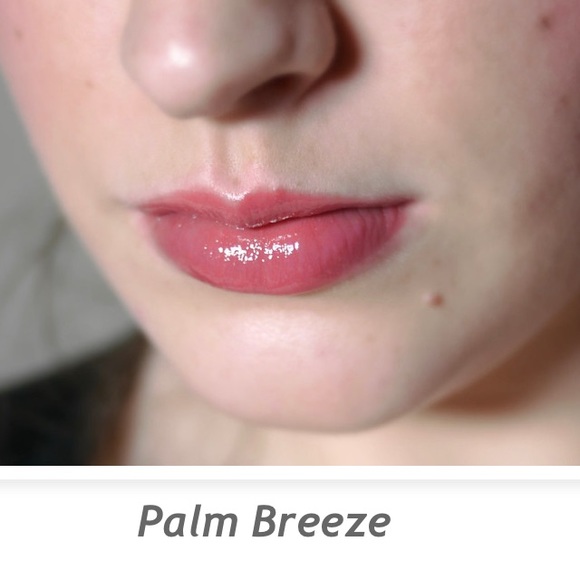 BECCA Ultimate Colour Gloss PALM BREEZE *DISCONTINUED* - Picture 3 of 12
